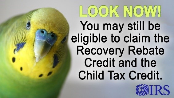 Child Tax Credit Info